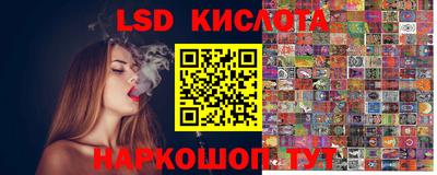 стаф Краснодар